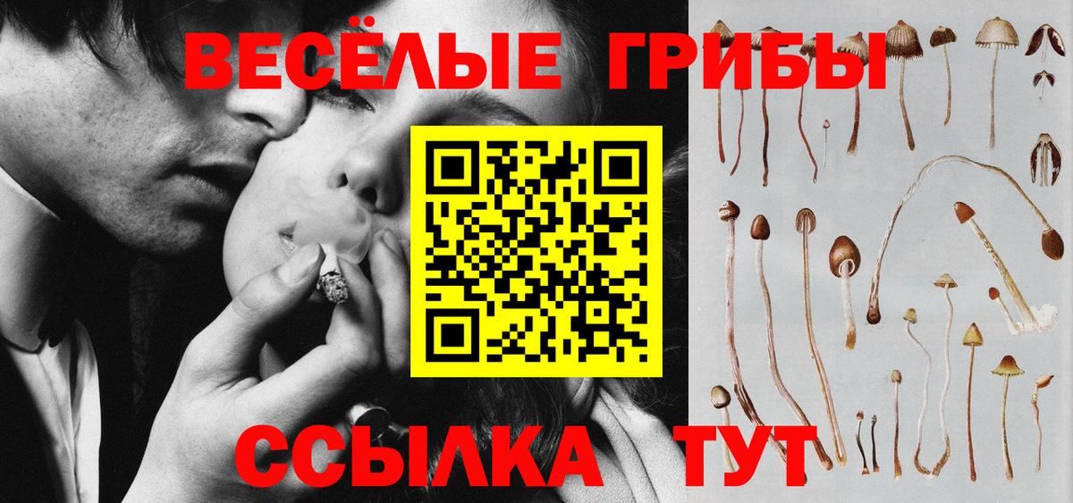 Псилоцибиновые грибы Psilocybine cubensis Воскресенск