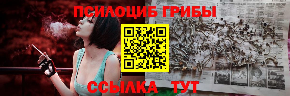 Воскресенск  Псилоцибиновые грибы MAGIC MUSHROOMS  Вход с VPN 